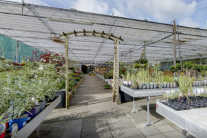 tuincentrum