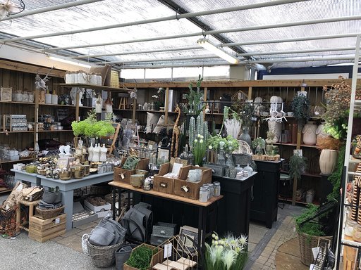 Decoratie-plantenenzo1