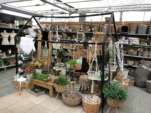 Decoratie-plantenenzo3