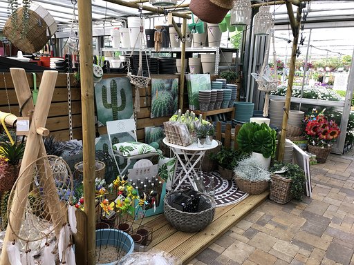 Decoratie-plantenenzo6