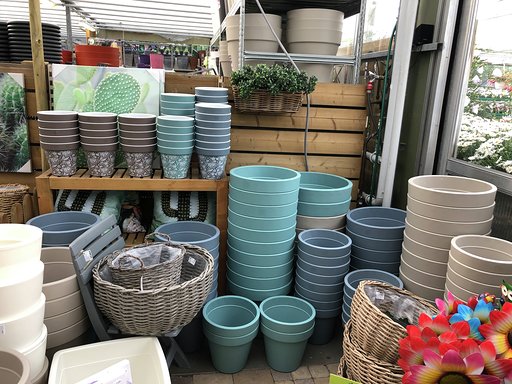 Potterie-plantenenzo3